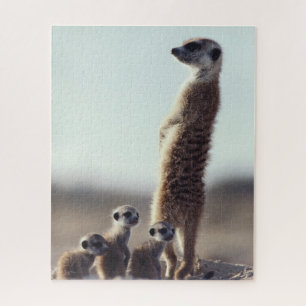 Niedliche Kleintiere   Eine Familie der Meerkats Puzzle
