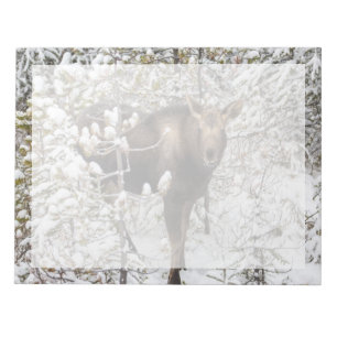 Niedliche Kleintiere   Elchkalb Notizblock