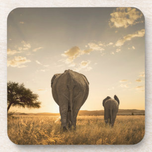 Niedliche Kleintiere Elephant Calf & Mother Getränkeuntersetzer