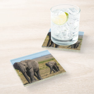 Niedliche Kleintiere   Elephant Mother & Baby Glasuntersetzer