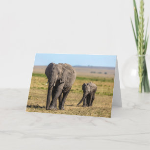 Niedliche Kleintiere   Elephant Mother & Baby Karte