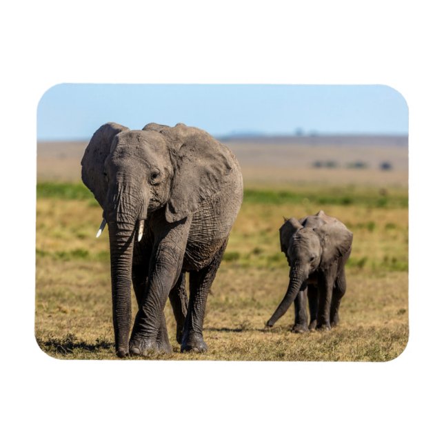 Niedliche Kleintiere | Elephant Mother & Baby Magnet (Horizontal)