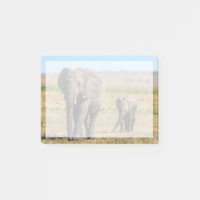 Niedliche Kleintiere | Elephant Mother & Baby