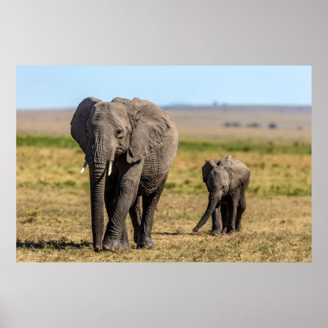 Niedliche Kleintiere | Elephant Mother & Baby Poster (Vorne)