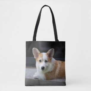 Niedliche Kleintiere Entspannende Corgi Welpe