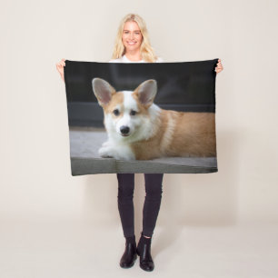 Niedliche Kleintiere Entspannende Corgi Welpe Fleecedecke