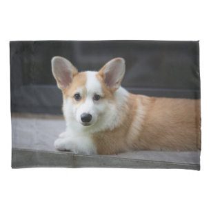 Niedliche Kleintiere Entspannende Corgi Welpe Kissenbezug