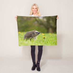Niedliche Kleintiere Europäischer Igel Fleecedecke