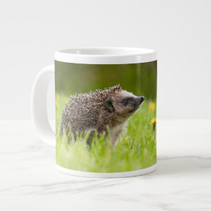 Niedliche Kleintiere   Europäischer Igel Jumbo-Tasse