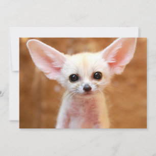Niedliche Kleintiere   Fennec Fox Dankeskarte
