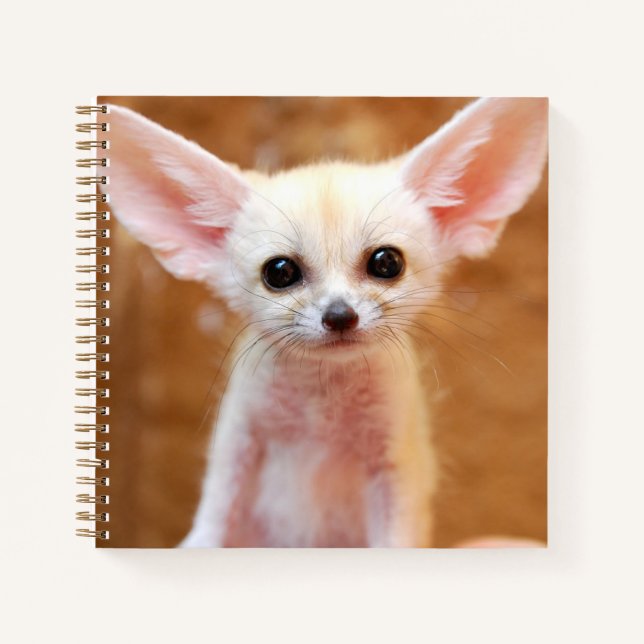 Niedliche Kleintiere | Fennec Fox Notizbuch (Vorderseite)