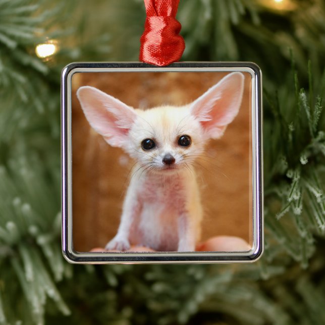 Niedliche Kleintiere | Fennec Fox Ornament Aus Metall (Baum)