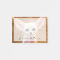 Niedliche Kleintiere | Fennec Fox