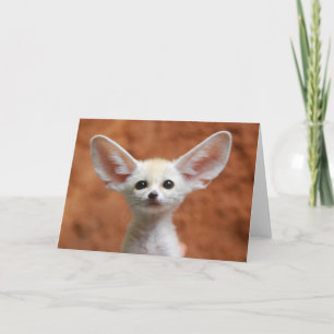 Niedliche Kleintiere   Fennec Fox Pup Karte