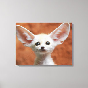 Niedliche Kleintiere   Fennec Fox Pup Leinwanddruck