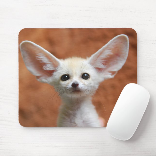 Niedliche Kleintiere | Fennec Fox Pup Mousepad (Mit Mouse)