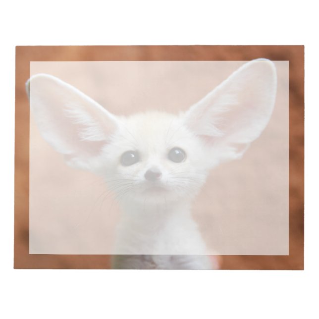Niedliche Kleintiere | Fennec Fox Pup Notizblock (Vorderseite)