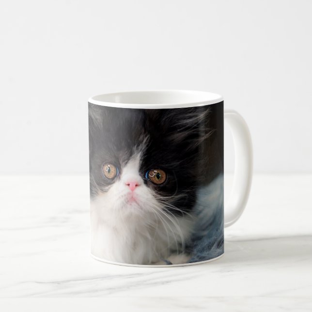 Niedliche Kleintiere | Fluffy B&W Kitten Kaffeetasse (VorderseiteRechts)