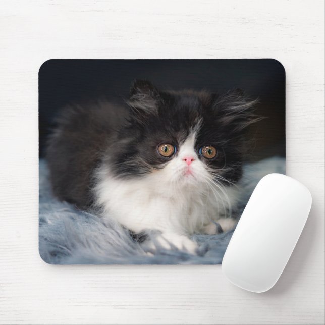 Niedliche Kleintiere | Fluffy B&W Kitten Mousepad (Mit Mouse)