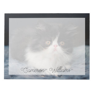 Niedliche Kleintiere   Fluffy B&W Kitten Notizblock