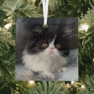 Niedliche Kleintiere Fluffy B&W Kitten Ornament Aus Glas