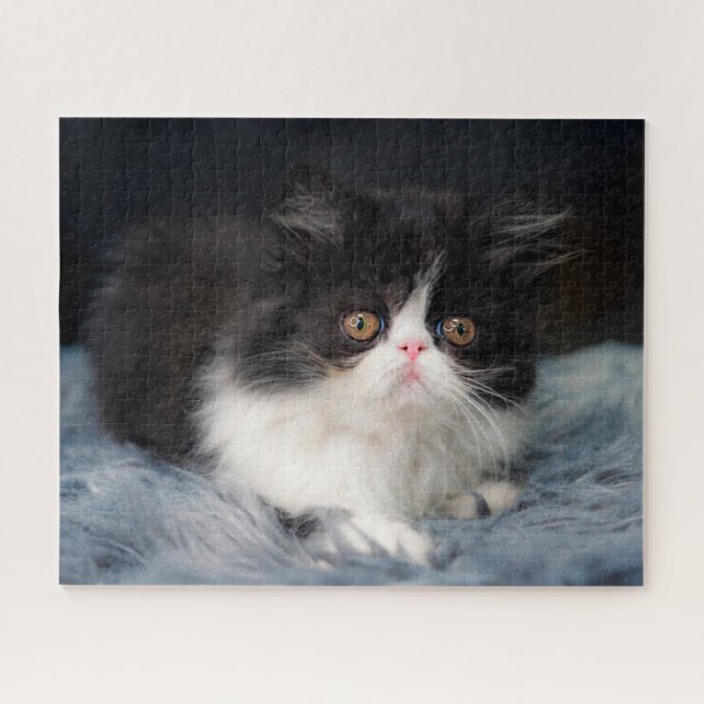 Niedliche Kleintiere | Fluffy B&W Kitten Puzzle (Horizontal)