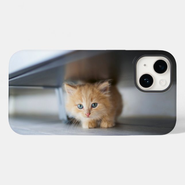 Niedliche Kleintiere | Fluffy Orange Kitten Case-Mate iPhone Hülle (Rückseite (Horizontal))