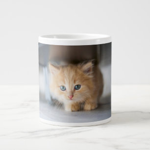 Niedliche Kleintiere   Fluffy Orange Kitten Jumbo-Tasse