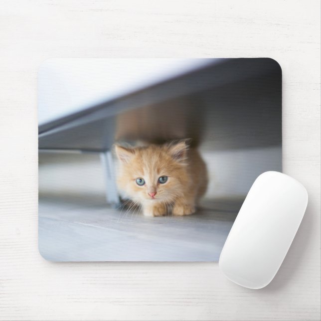 Niedliche Kleintiere | Fluffy Orange Kitten Mousepad (Mit Mouse)