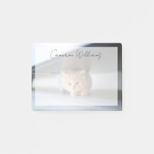 Niedliche Kleintiere Fluffy Orange Kitten Post-it Klebezettel