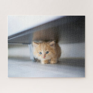 Niedliche Kleintiere Fluffy Orange Kitten Puzzle