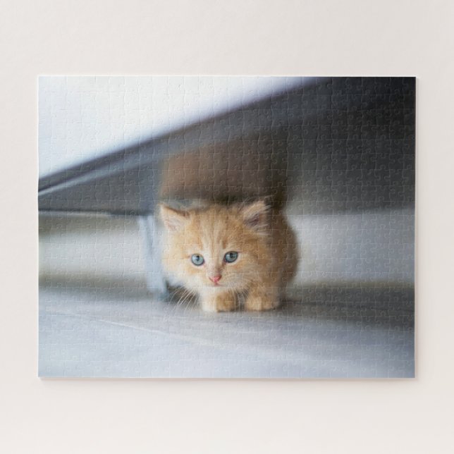 Niedliche Kleintiere | Fluffy Orange Kitten Puzzle (Horizontal)