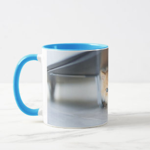 Niedliche Kleintiere Fluffy Orange Kitten Tasse