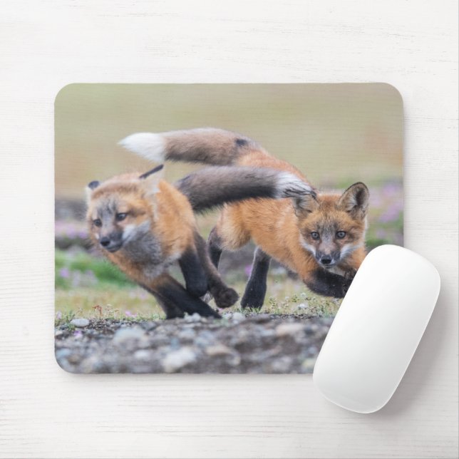 Niedliche Kleintiere | Fox-Jungtiere im Spiel Mousepad (Mit Mouse)