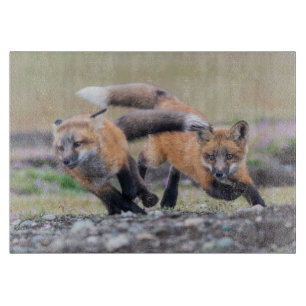 Niedliche Kleintiere Fox-Jungtiere im Spiel Schneidebrett