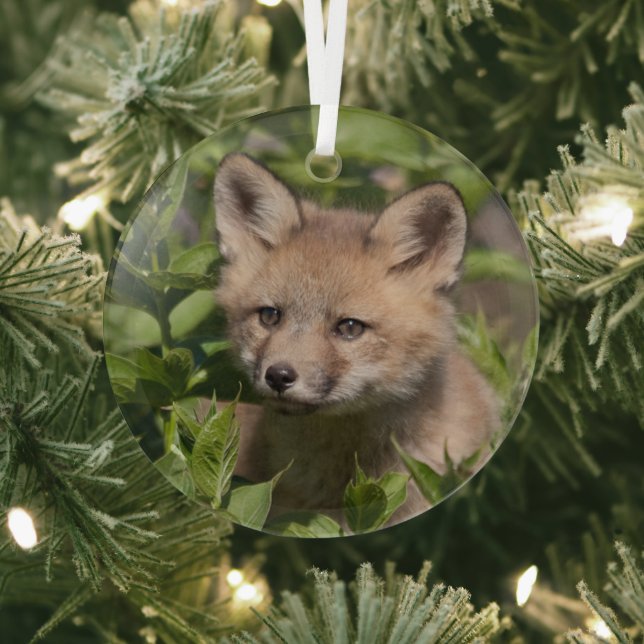 Niedliche Kleintiere | Fox-Kit Ornament Aus Glas (InSitu)