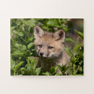 Niedliche Kleintiere   Fox-Kit Puzzle