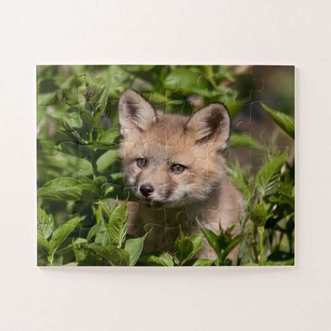 Niedliche Kleintiere | Fox-Kit Puzzle (Horizontal)