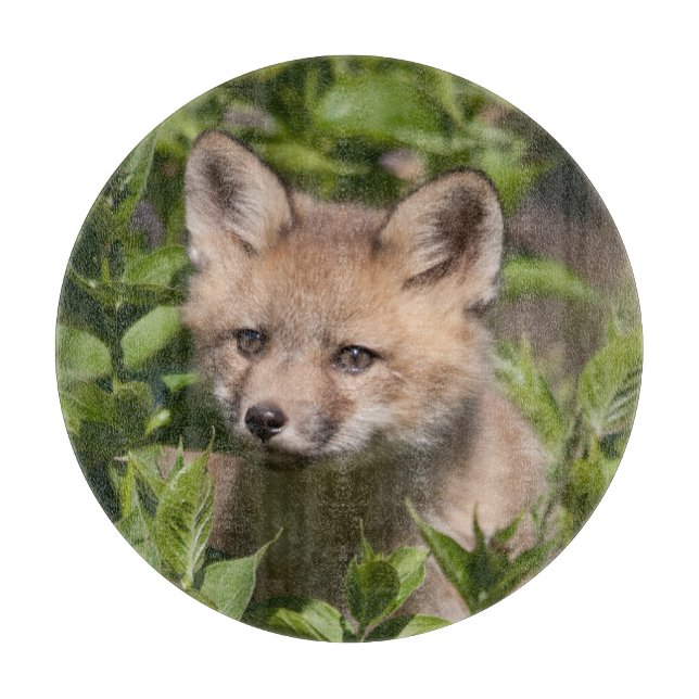 Niedliche Kleintiere | Fox-Kit Schneidebrett (Vorderseite)