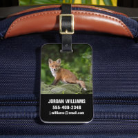 Niedliche Kleintiere | Foxy Smile