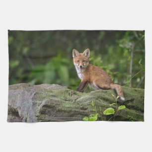 Niedliche Kleintiere Foxy Smile Geschirrtuch