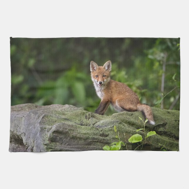 Niedliche Kleintiere | Foxy Smile Geschirrtuch (Horizontal)