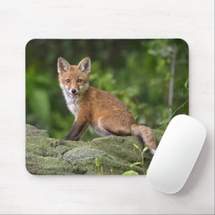 Niedliche Kleintiere   Foxy Smile Mousepad