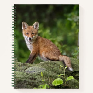 Niedliche Kleintiere Foxy Smile Notizbuch