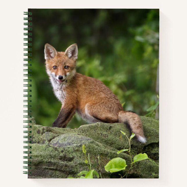 Niedliche Kleintiere | Foxy Smile Notizbuch (Vorderseite)