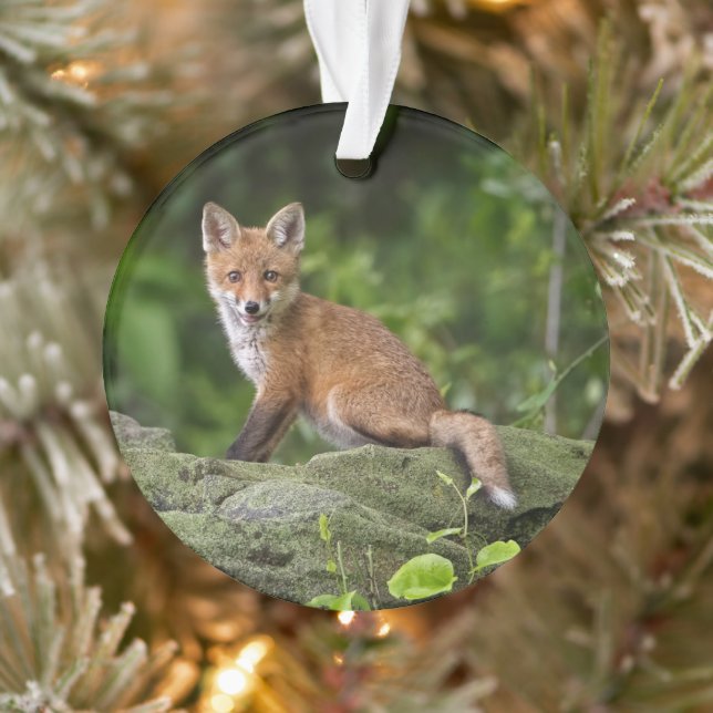 Niedliche Kleintiere | Foxy Smile Ornament (Baum)