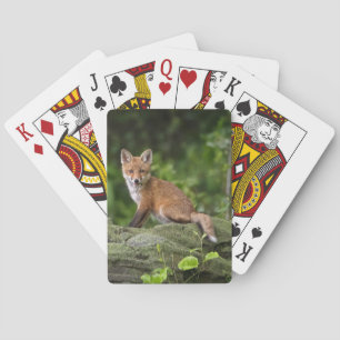 Niedliche Kleintiere Foxy Smile Spielkarten