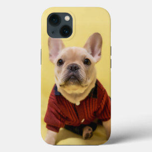 Niedliche Kleintiere Französischer Bulldog Dress Case-Mate iPhone Hülle