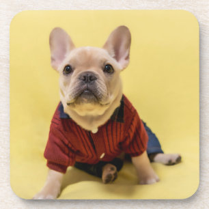 Niedliche Kleintiere   Französischer Bulldog Dress Getränkeuntersetzer