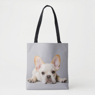 Niedliche Kleintiere   Französischer Bulldog flieg
